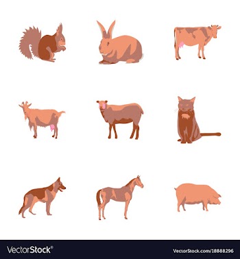Set of in flat style animals vector image