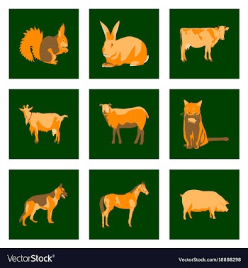 Set of in flat style animals vector image