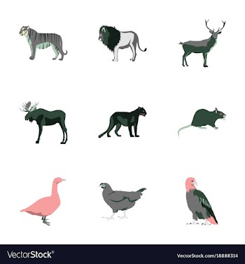Set of in flat style animals vector image