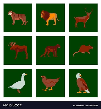 Set of in flat style animals vector image