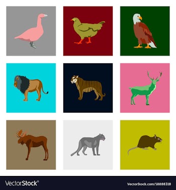 Set of in flat style animals vector image