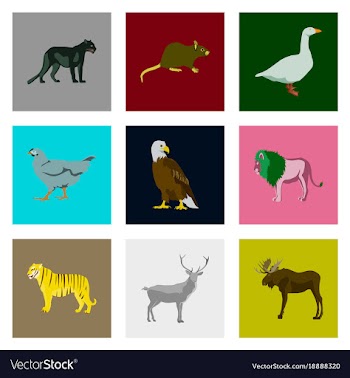 Set of in flat style animals vector image