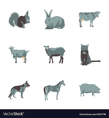 Set of in flat style animals vector image