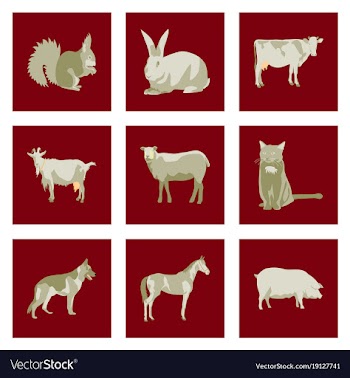 Set of in flat style animals vector image