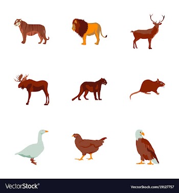 Set of in flat style animals vector image