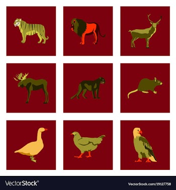 Set of in flat style animals vector image