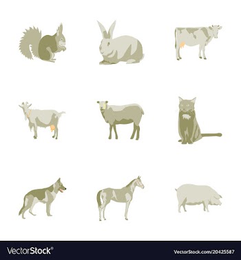 Set of in flat style animals vector image
