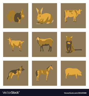 Set of in flat style animals vector image