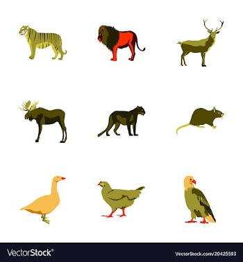 Set of in flat style animals vector image