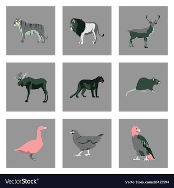 Set of in flat style animals vector image