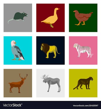 Set of in flat style animals vector image