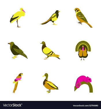 Set of in flat style birds vector image
