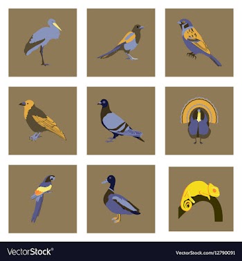 Set of in flat style birds vector image