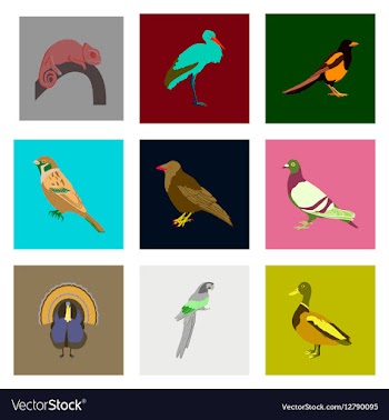 Set of in flat style birds vector image