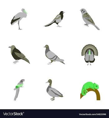 Set of in flat style birds vector image