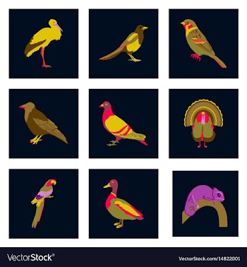 Set of in flat style birds vector image