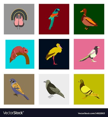 Set of in flat style birds vector image