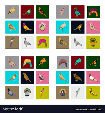 Set of in flat style birds vector image