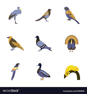 Set of in flat style birds vector image