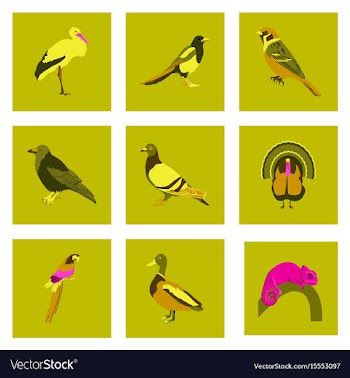 Set of in flat style birds vector image