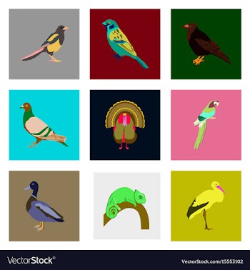 Set of in flat style birds vector image