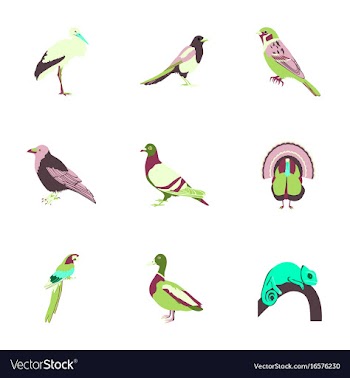 Set of in flat style birds vector image