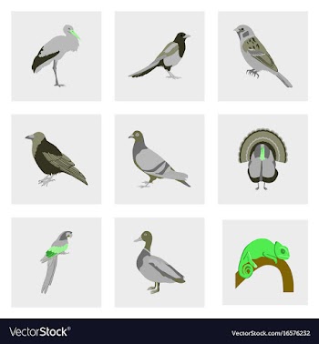 Set of in flat style birds vector image