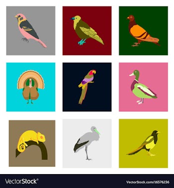 Set of in flat style birds vector image
