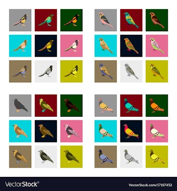Set of in flat style birds vector image
