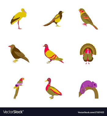 Set of in flat style birds vector image