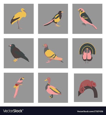 Set of in flat style birds vector image