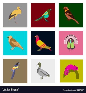 Set of in flat style birds vector image