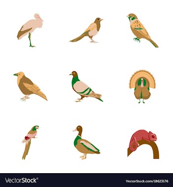 Set of in flat style birds vector image
