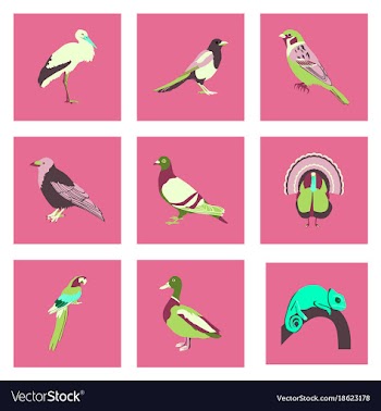 Set of in flat style birds vector image