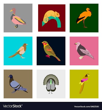 Set of in flat style birds vector image