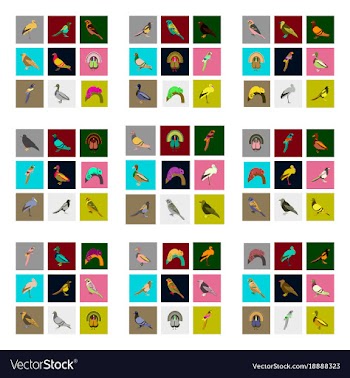 Set of in flat style birds vector image
