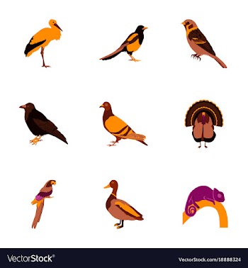Set of in flat style birds vector image