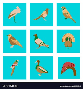 Set of in flat style birds vector image