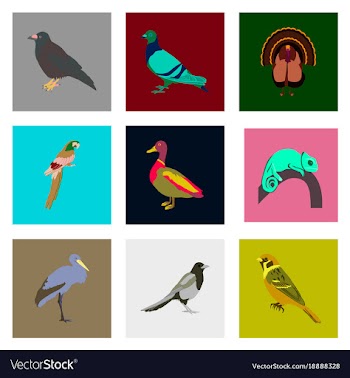 Set of in flat style birds vector image