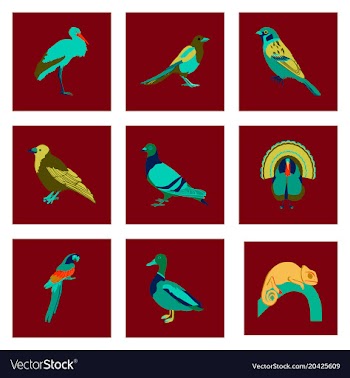 Set of in flat style birds vector image