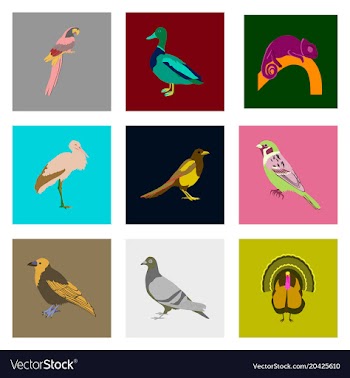 Set of in flat style birds vector image