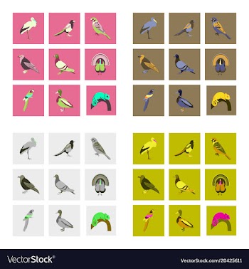 Set of in flat style birds vector image