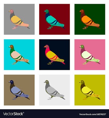 Set of in flat style dove vector image