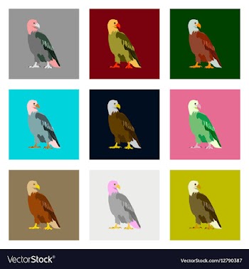 Set of in flat style eagle vector image