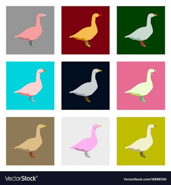 Set of in flat style geese vector image