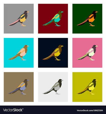 Set of in flat style magpie vector image