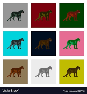 Set of in flat style panthers vector image