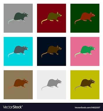 Set of in flat style rat vector image