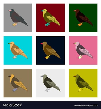 Set of in flat style raven vector image