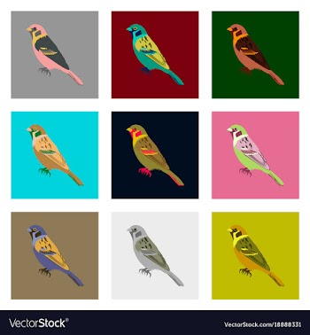 Set of in flat style sparrow vector image